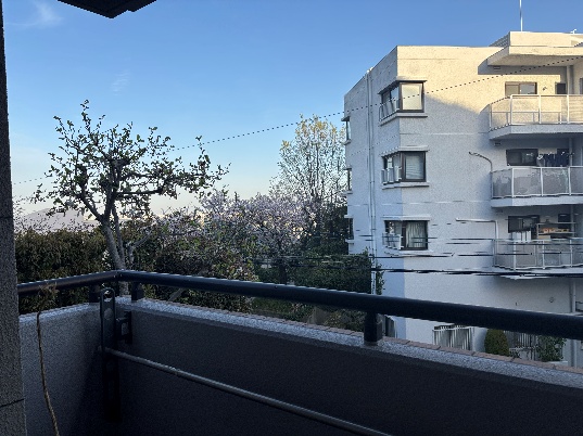 ルネ苦楽園｜3LDK+N｜88㎡｜1階部分｜分譲マンション